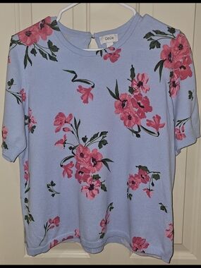 CeCe Pastel Blue Knit Top with Pink Floral Print